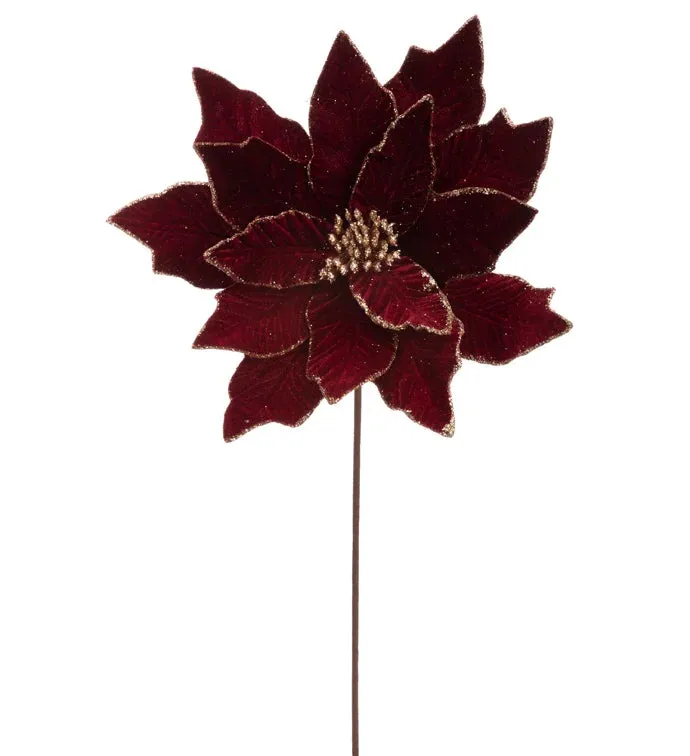 Burgundy Gold Poinsettia Pick