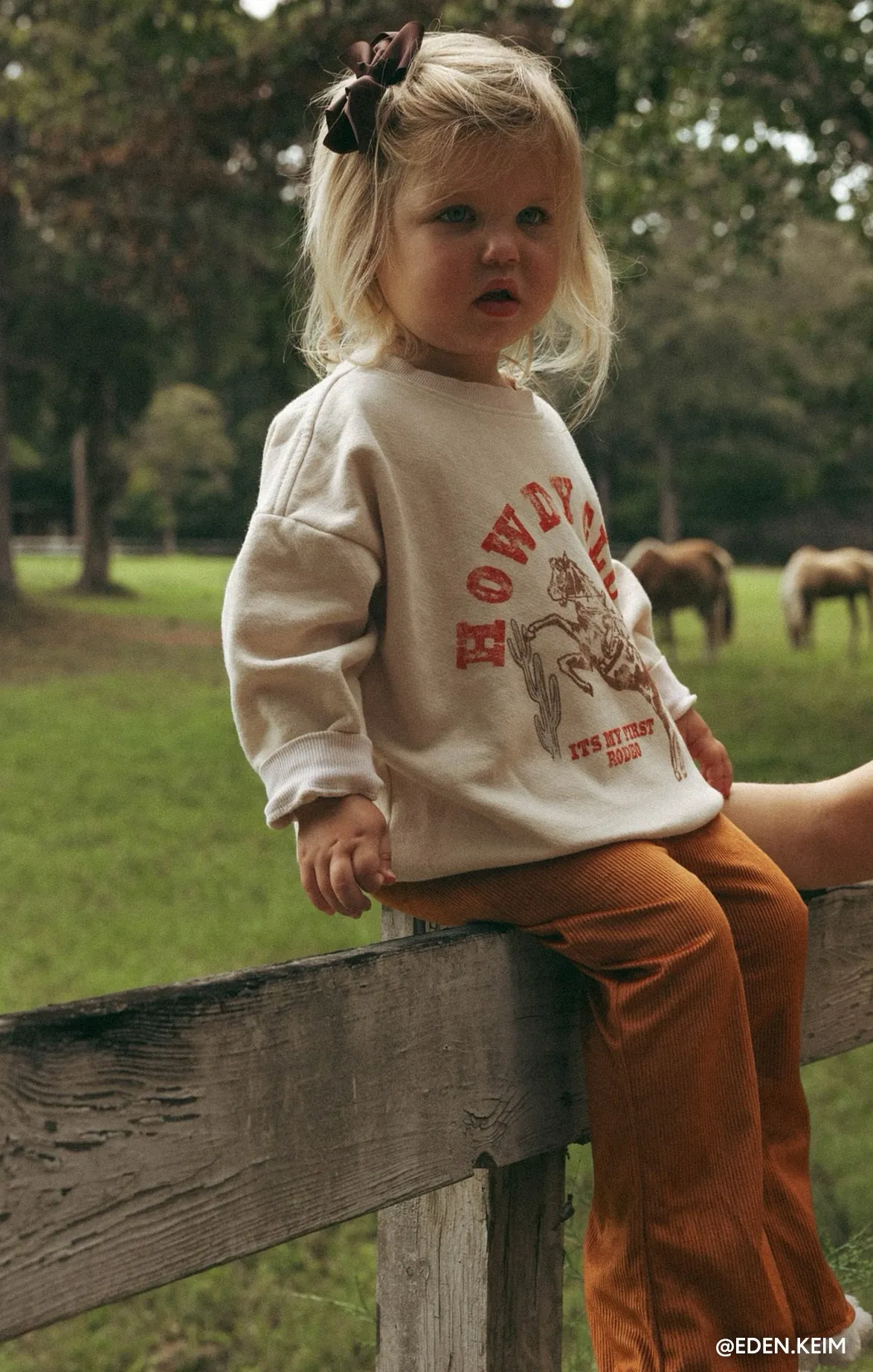 Davis Sweatshirt ~ Distressed Howdy Graphic