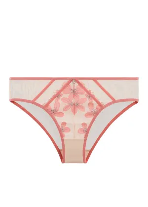 RILEY Plus Sexy Pink Floral Embroidery Lace Brief Panties